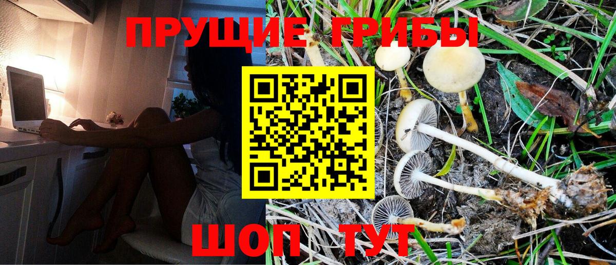 Галлюциногенные грибы Psilocybe  Вход с VPN  Тула 
